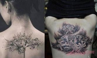 国产纹身女孩视频大全,国产纹身女孩风采展示