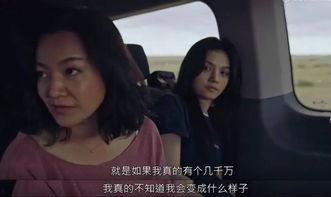 国产高级一级视频,匠心独运，视听盛宴