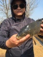 国产火腿钓鱼视频大全,趣味盎然的视频盛宴