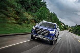 国产皮卡怎么喷水的视频,视频教学轻松上手