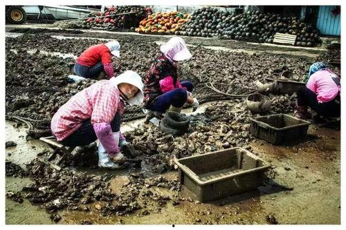 国产明人福利视频,明人风采，尽享视听盛宴  第3张