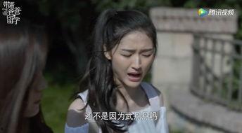 国产渣女电视剧大全视频,揭秘剧中那些让人又爱又恨的“渣女”形象  第2张