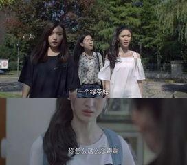 国产渣女电视剧大全视频,揭秘剧中那些让人又爱又恨的“渣女”形象  第3张